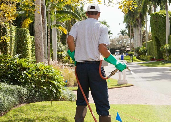 About Red Bank NJ Pest Control Pros